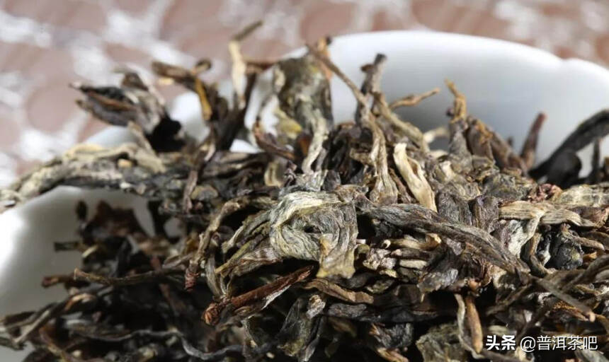 「答疑解惑」苦涩的茶叶就是坏茶么？不一定