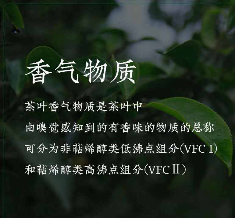 9张图片带你了解普洱茶的内含物质及相关的作用