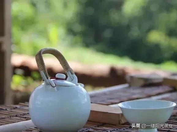 肉桂：虚传桂性同辛辣，武夷岩茶胜醍醐