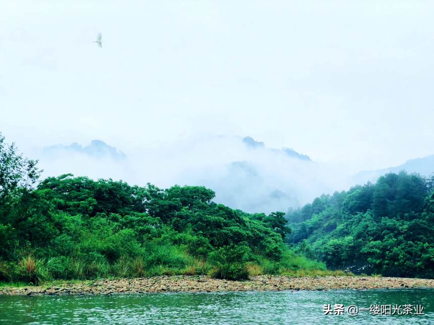 夏天的武夷山，来了就不想走了