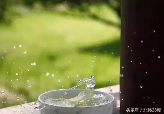 关于茶的秘密，你知道多少？