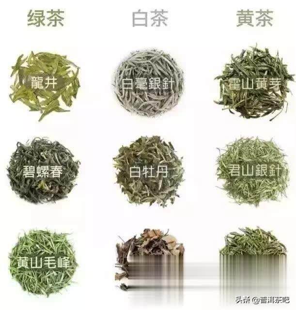 学茶另有套路，这篇看完让您速成半个茶专家