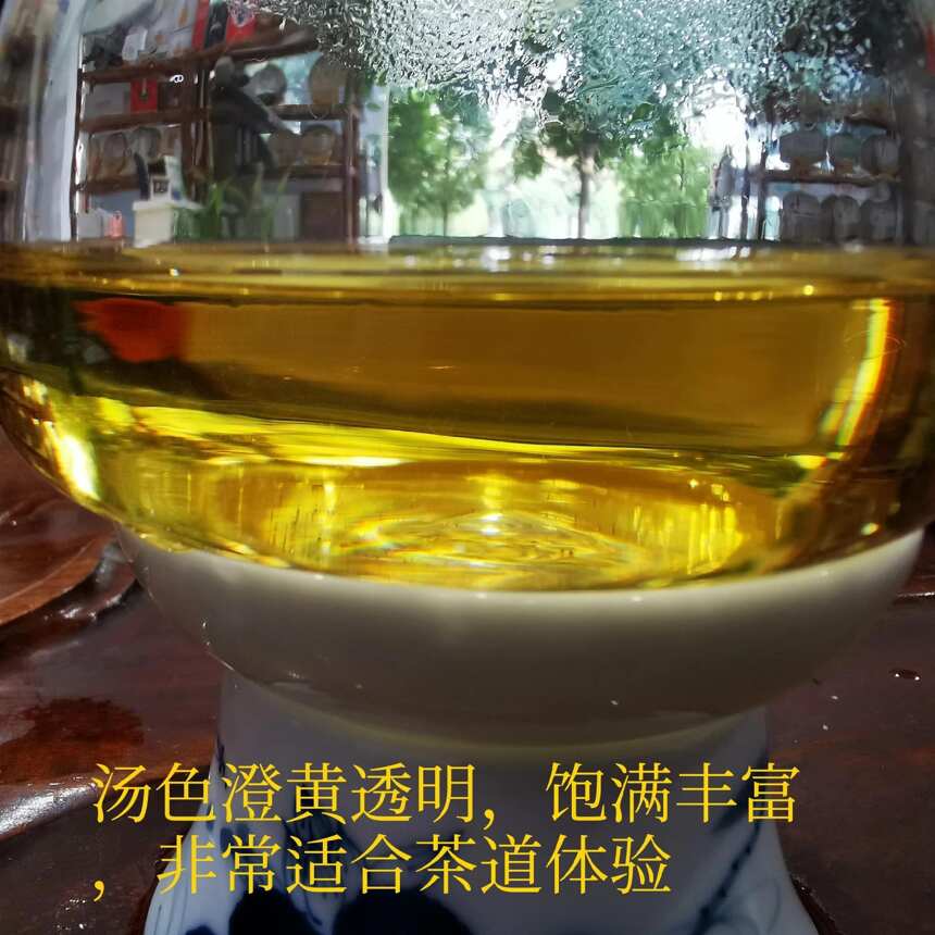 天价古树普洱茶，为何天价？