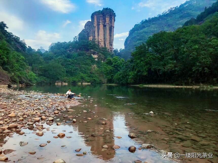 夏天的武夷山，来了就不想走了