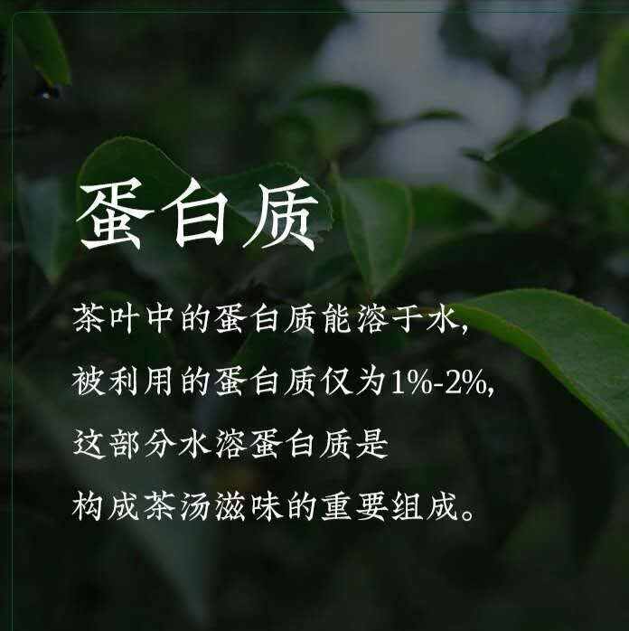 9张图片带你了解普洱茶的内含物质及相关的作用