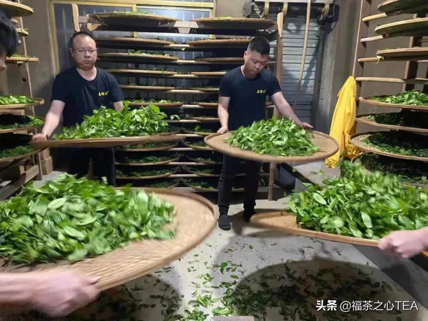 姚月明：形成武夷岩茶品质特征的相关因子