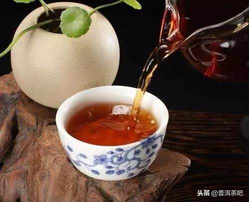 喝老茶是会上瘾的