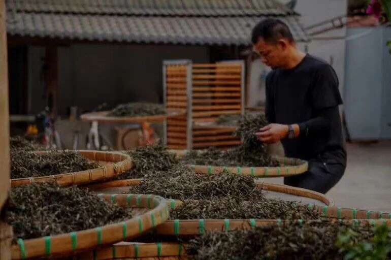 紫者工匠篇：制茶技术狂人李军