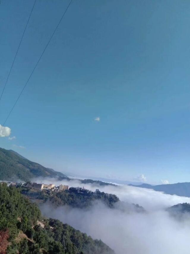 古树茶，名山名寨茶，“一茶一码”