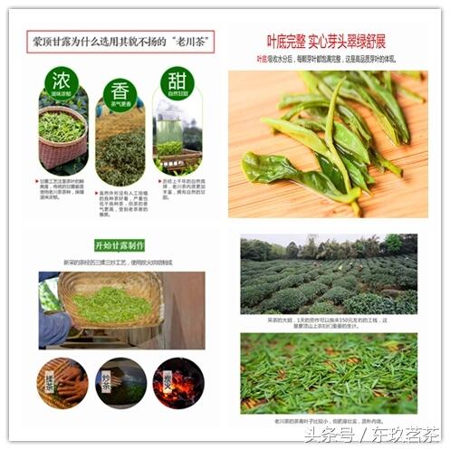 六大茶类——常见名优绿茶