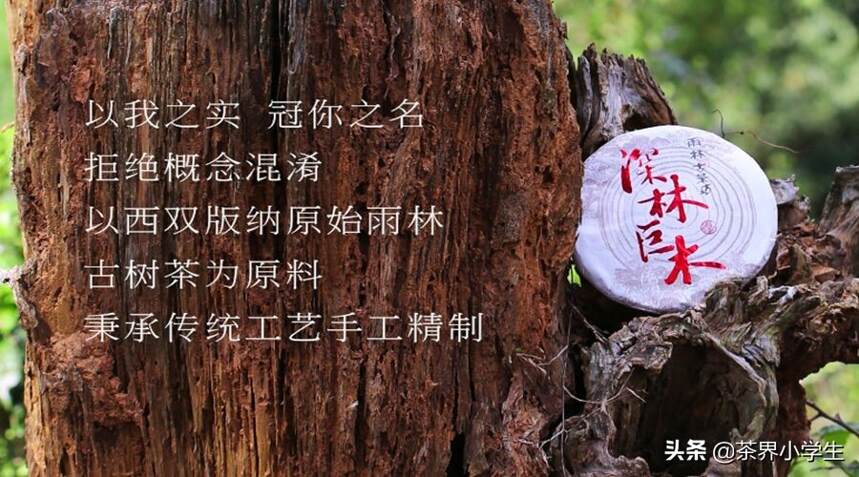 央视曝光普洱“古树茶”乱象，古树茶资深专家虞富莲如何看？