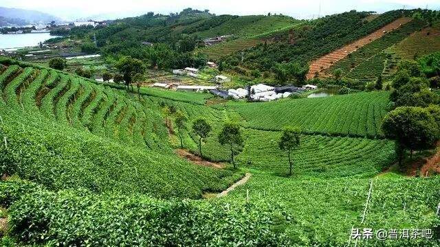 一个人喝茶，和心；两个人喝茶，和顺；一家人喝茶，和睦