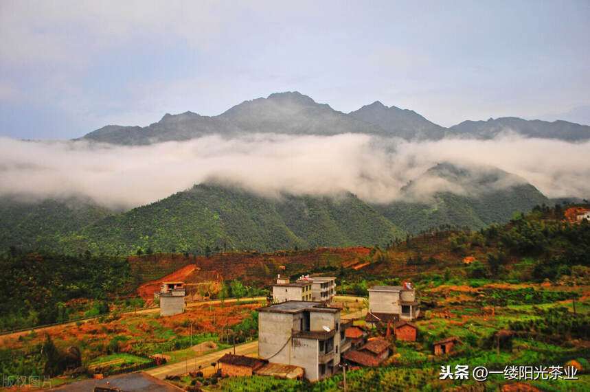 武夷山摄影：齐云峰与三才峰的那些朝朝与暮暮