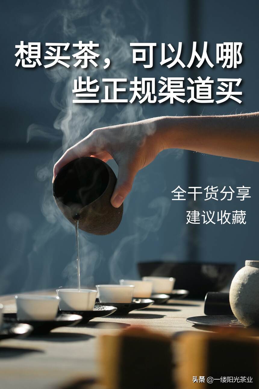 茶小白该去哪买茶