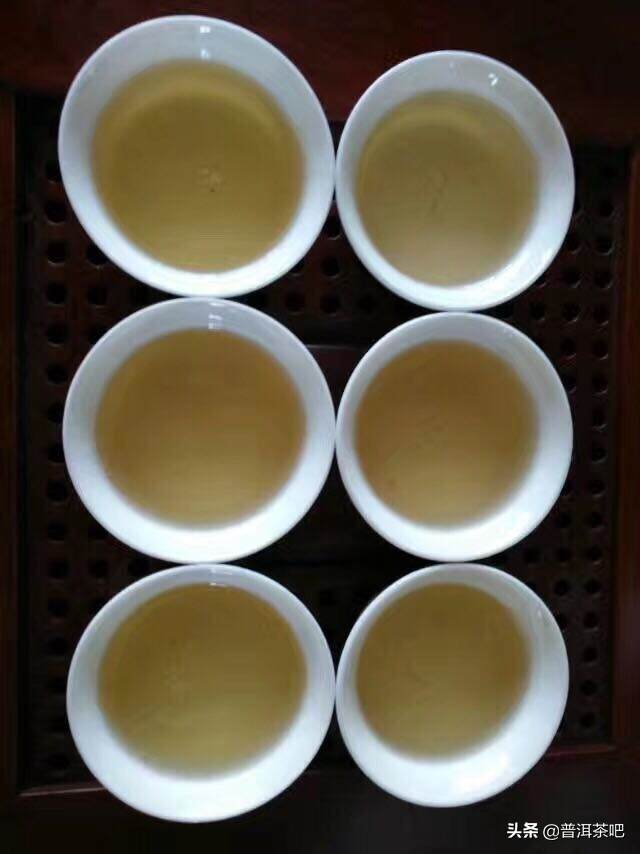 说说果敢古树茶