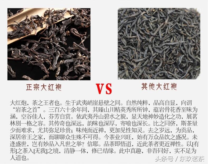 茶中珍品11——武夷山大红袍