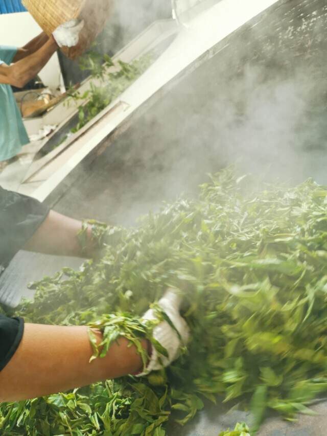 基础普洱茶知识-品饮之香气体验