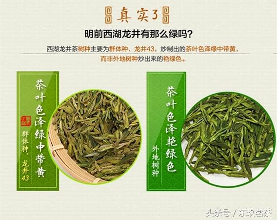 六大茶类——常见名优绿茶