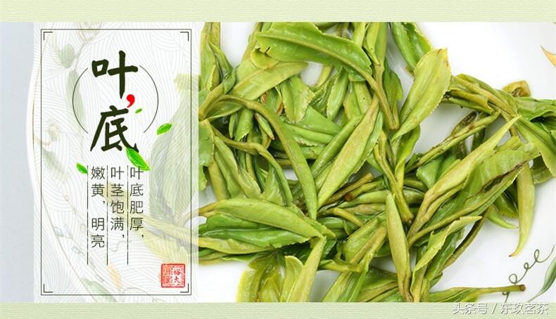 残茶用处多，这10个妙用可以试试！