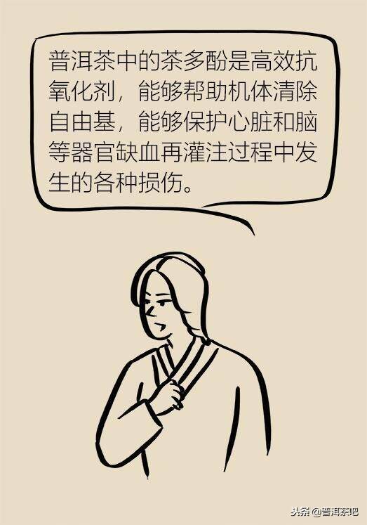 漫画普洱茶的功效