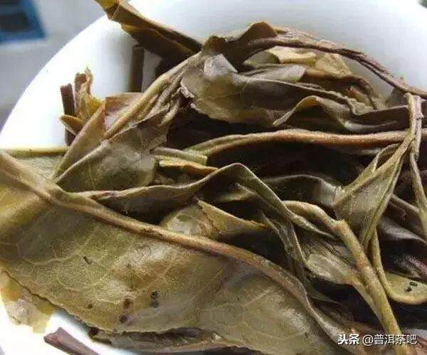 30种常见的普洱茶叶底