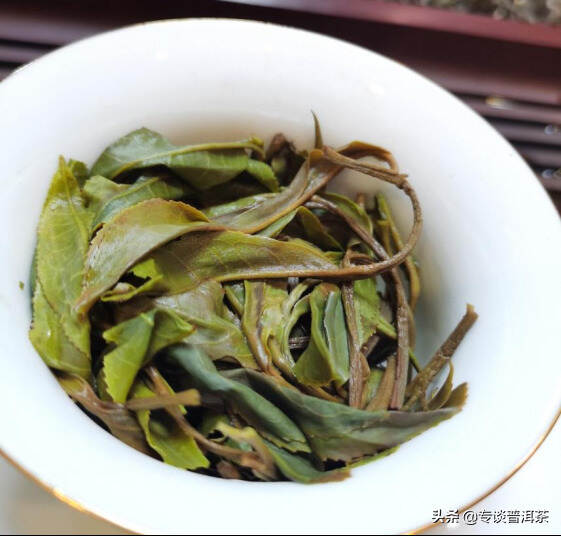 为什么普洱茶会有茶梗？