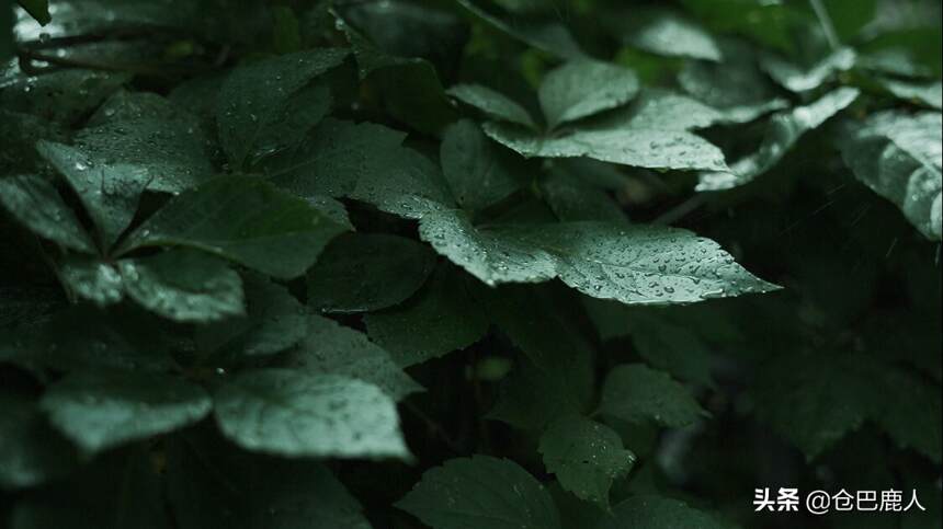 雨季不再来