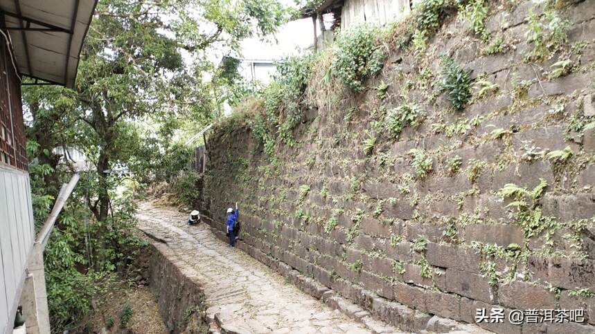 ‖2019年的茶山倚邦之行