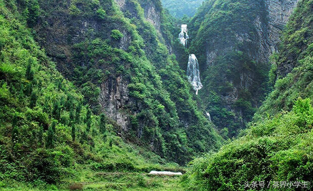 绿茶产地（8）——贵州名优绿茶