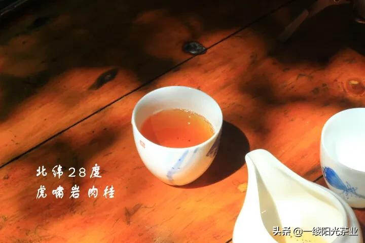 肉桂：虚传桂性同辛辣，武夷岩茶胜醍醐