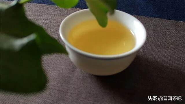 试试在昆明存放了5年的小户赛春茶和秋茶