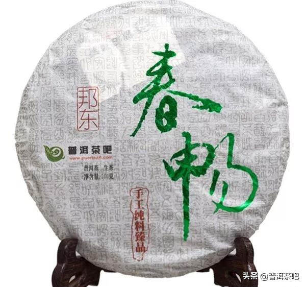 「普洱茶吧春畅」普洱山头茶系列《邦东》古树纯料春茶冲泡品鉴