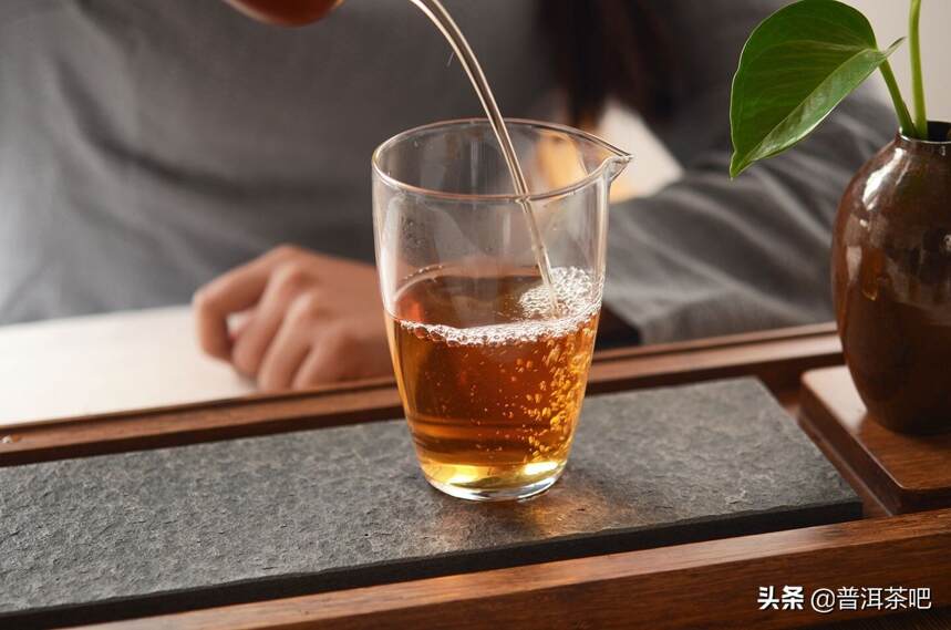 ‖普洱茶茶汤上面的油雾是什么？