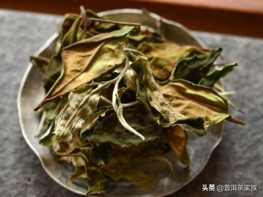 白茶是散的好还是饼的好？应该多存放饼茶还是散茶？