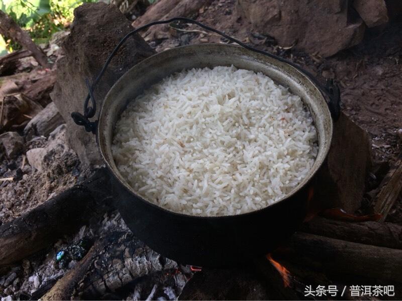 茶吧小分队，巡山之桐箐河