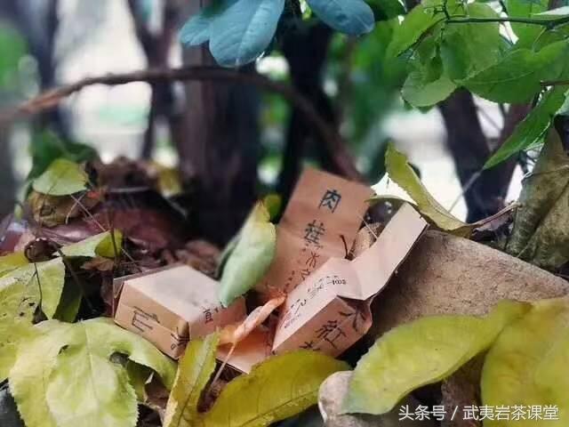 一天要喝多少茶叶才健康？