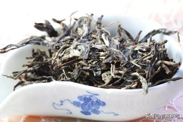 「干货分享」根据叶片就能分辨古树茶和台地茶吗？