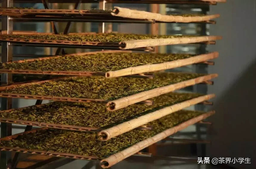 龙爷说茶：湖南农大茶学博导陈栋替普洱“越陈越香”站台