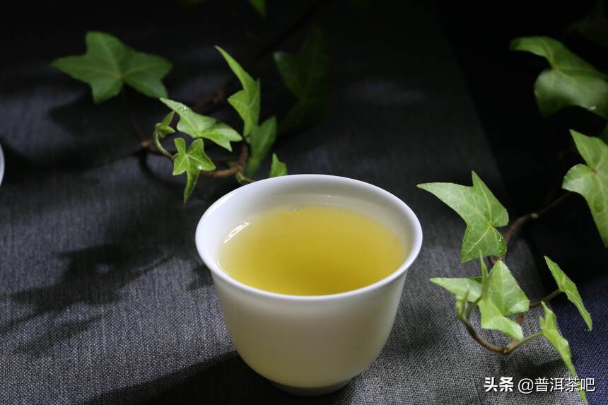 普洱茶，为何让人对你爱不释手？