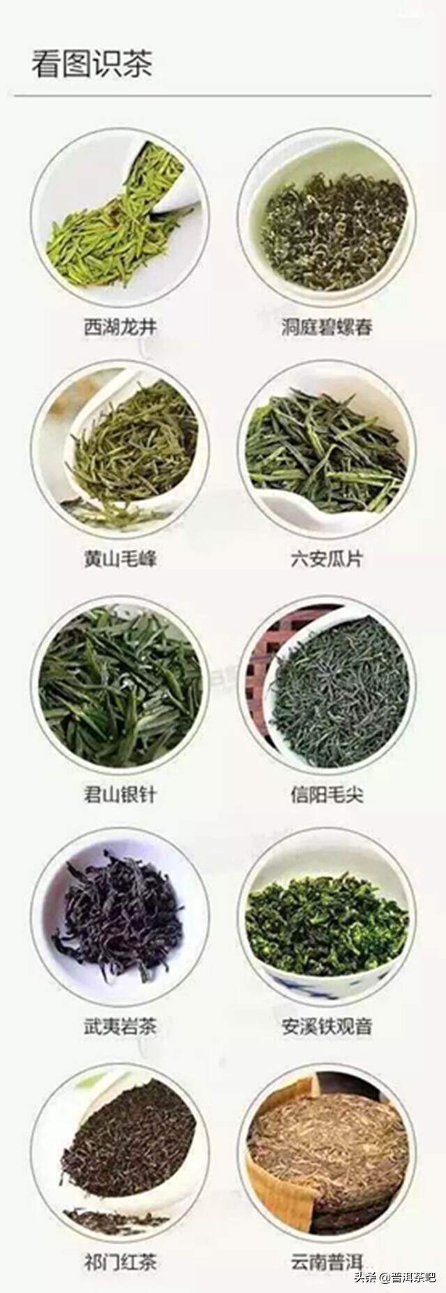 【入门干货】不懂茶，可以看图识茶