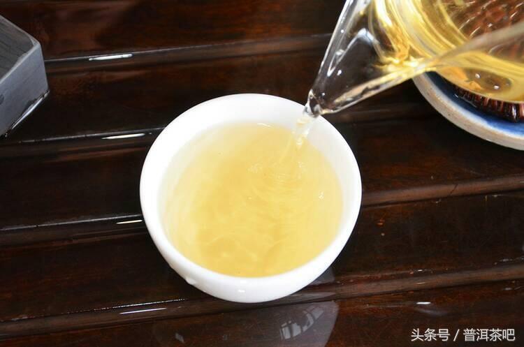 临沧茶区 忙肺茶