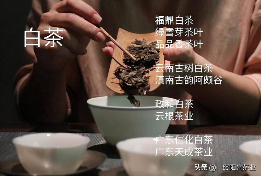 茶小白该去哪买茶