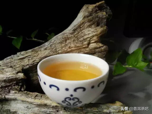 品饮普洱茶的一些常用术语