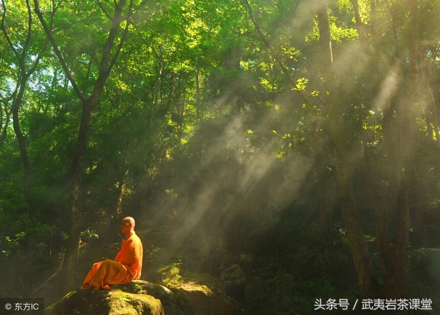 所有的痛苦都会过去，而所有的失去都会以另一种方式重新拥有