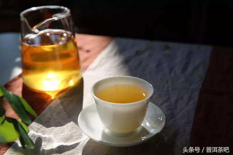 「刀哥说茶」细数那些教人辨识古树茶的歪招