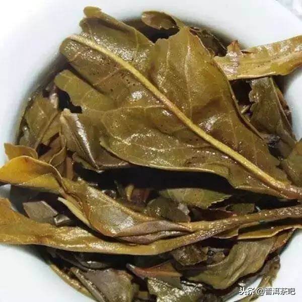 30种常见的普洱茶叶底