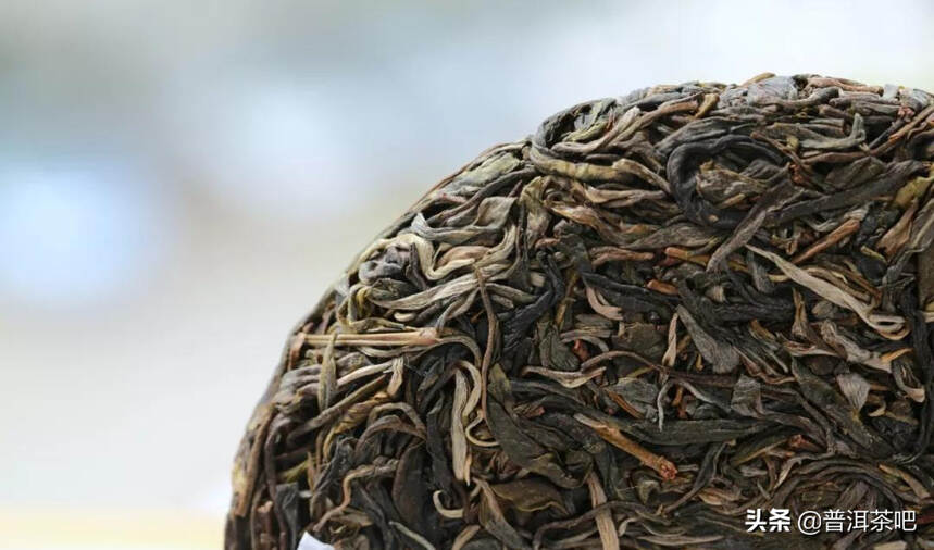 「干货分享」易武茶新贵铜箐河普洱茶