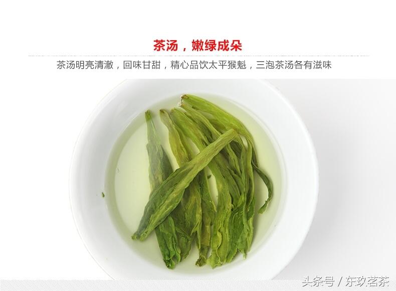 记住这5个关键点，秒变茶叶品鉴老司机！