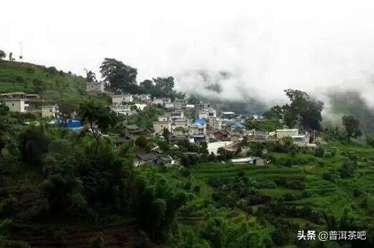 细数普洱茶山场，“一王二后”最顶级