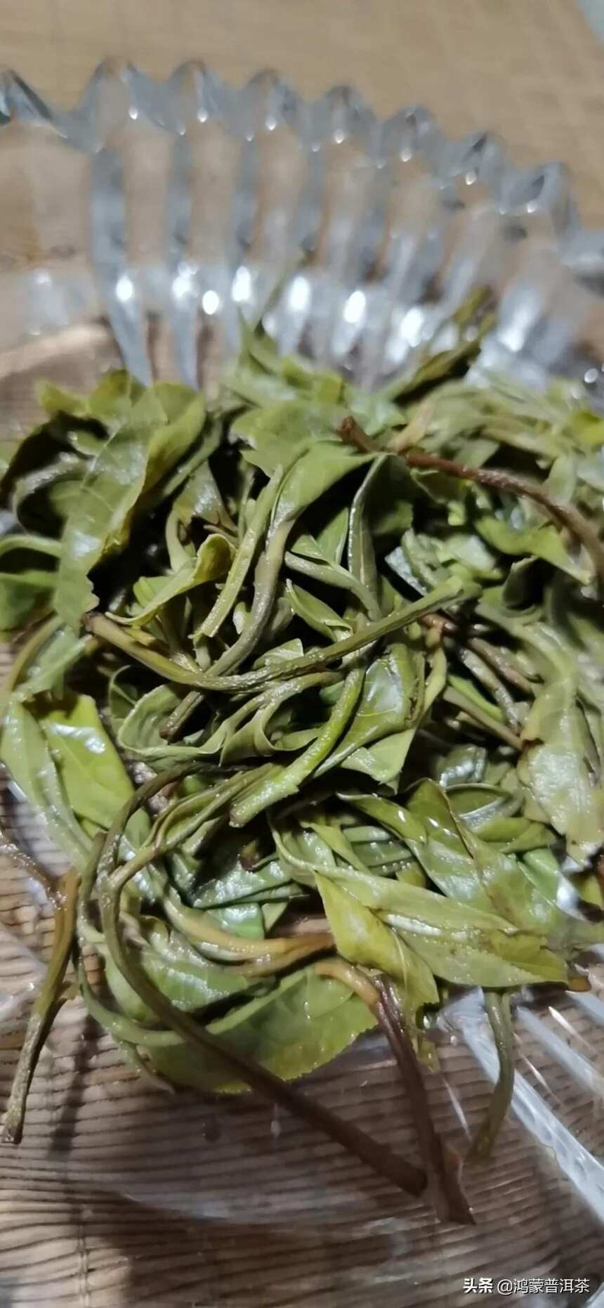 清明三天小长假，带你看云南的古茶